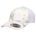 variant:Multicam Alpine/White