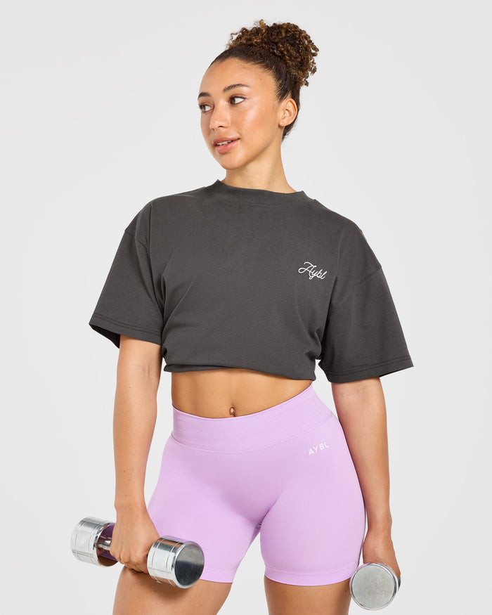 AYBL Lift Lodge Oversized T Shirt - Charcoal