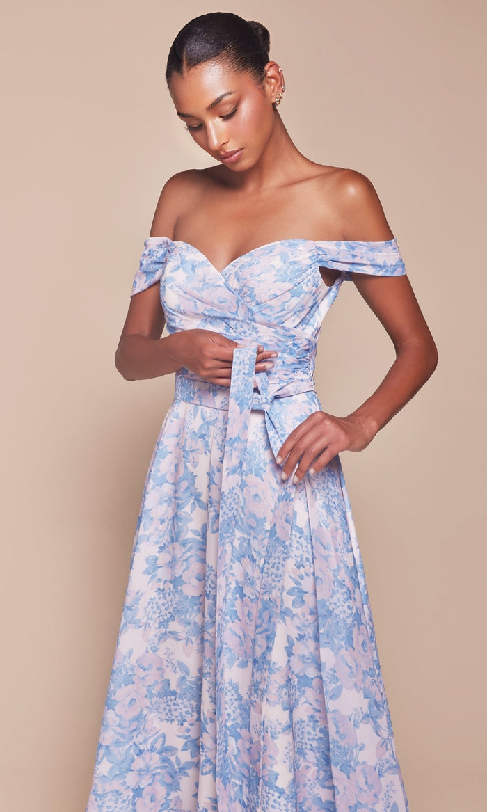 Ladivine Long Formal Dress 7441