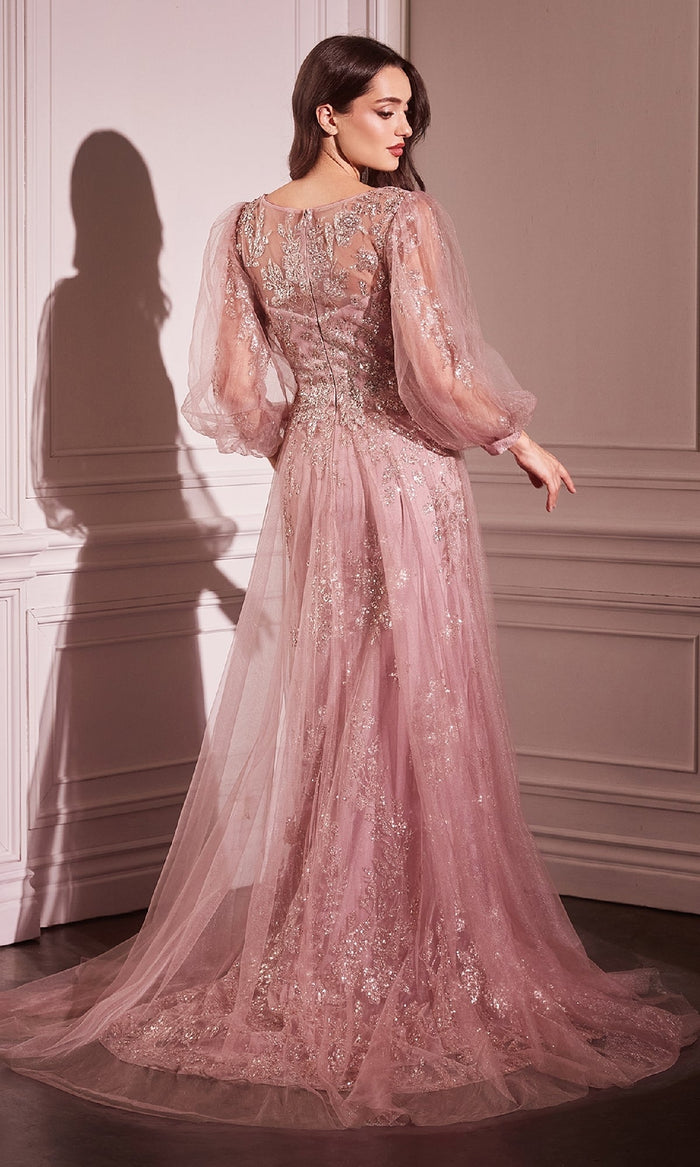 Ladivine Long Formal Dress CD0102