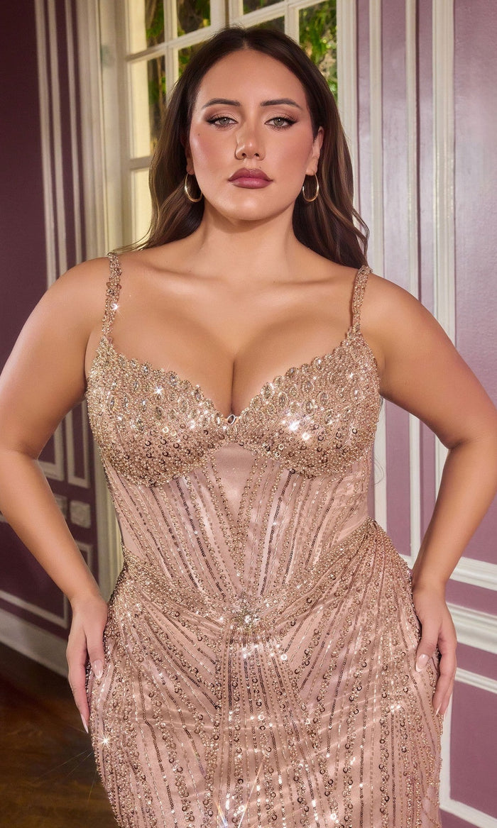 Ladivine Long Plus-Size Prom Dress cc398c