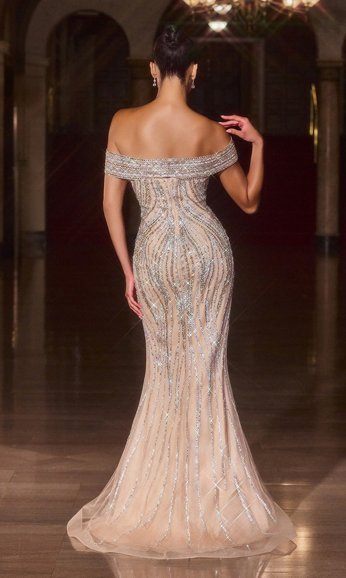 Ladivine Long Prom Dress cd674