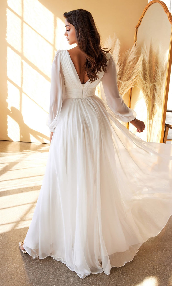 Long Formal Dress CD0192W by Ladivine
